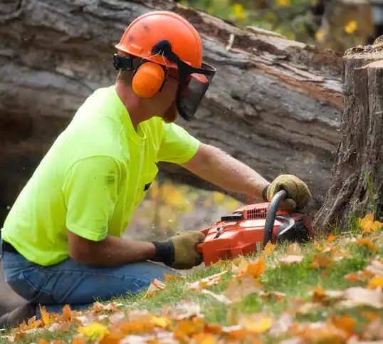 tree services Kings Point